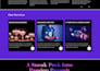 do wordpress plugin, theme customization and fix site issues
